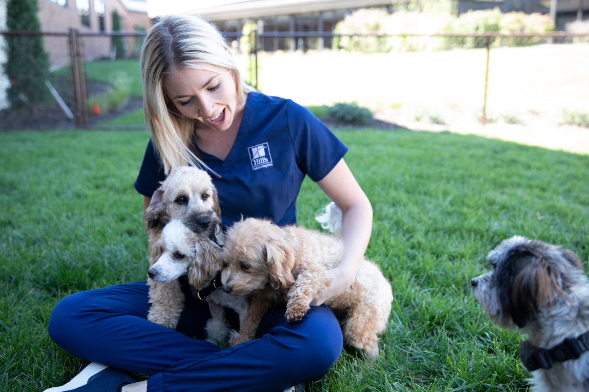 veterinarian smiling holding puppies