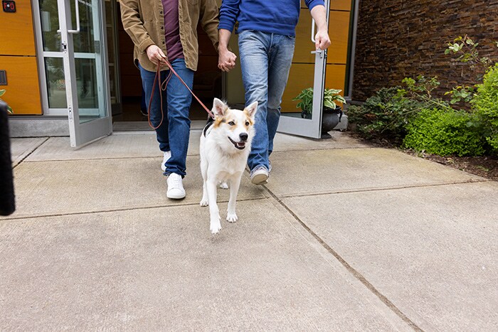 People taking their dog to a walk