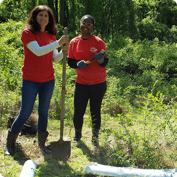 restoring river systems