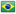 Brazil flag