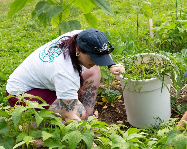 Person planting seedlings in sustainable garden as part of environmental initiative.