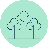 Icon of trees representing "Environmental Stewardship".