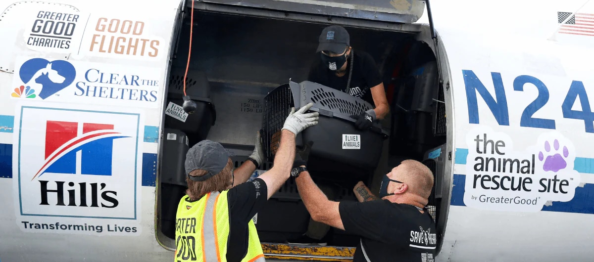 Hill's Pet Nutrition invites pet lovers to join the Clear the Shelters campaign to end pet homelessness