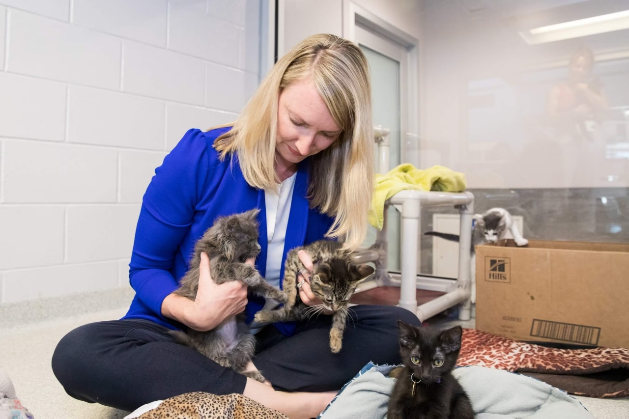 Woman sitting on floor with 2 kittens