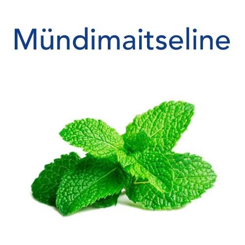 Mundimaitseline
