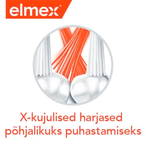 X-kujulised harjased pohjalikuks puhastamiseks