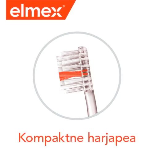 Kompaktne harjapea