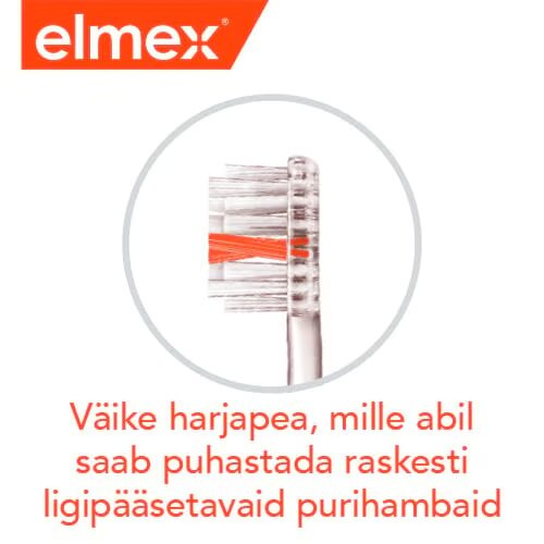Vaike harjapea, mille abil saab puhastada raskesti ligipaasetavaid purihambaid