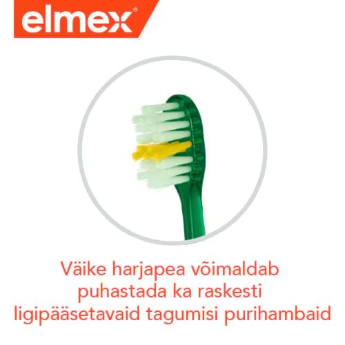 Vaike harjapea voimaldab puhastada ka raskesti ligipaasetavaid tagumisi purihambaid