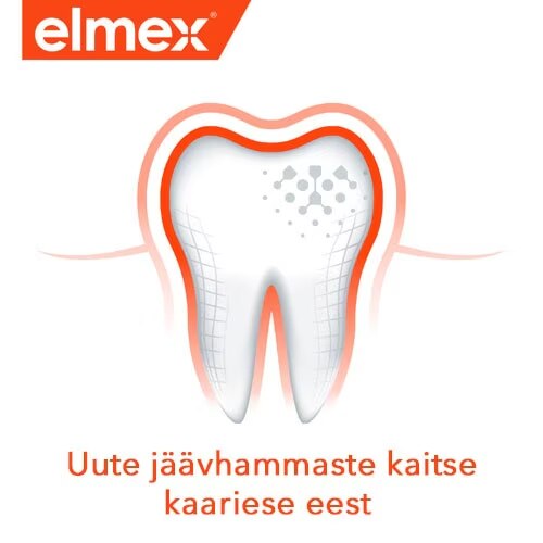 Uute jaavhammaste kaitse kaariese eest