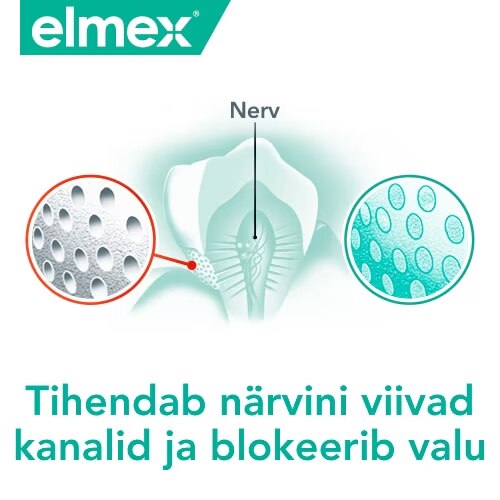 Elmexi logo, hamba siseehitust ja närvini viivaid kanaleid kujutav skeem ning eestikeelne tekst 'Tihendab närvini viivad kanalid ja blokeerib valu'.