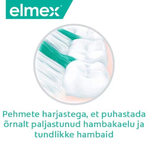 Pehmete harjaste illustratsioon ja tekst "Pehmete harjastega, et puhastada õrnalt paljastunud hambakaelu ja tundlikke hambaid".