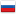 Russian Federation flag